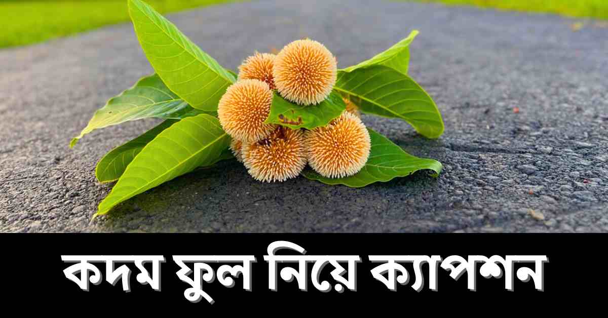 কদম ফুল নিয়ে ক্যাপশন