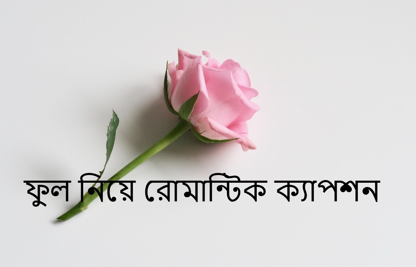 ফুল নিয়ে রোমান্টিক ক্যাপশন