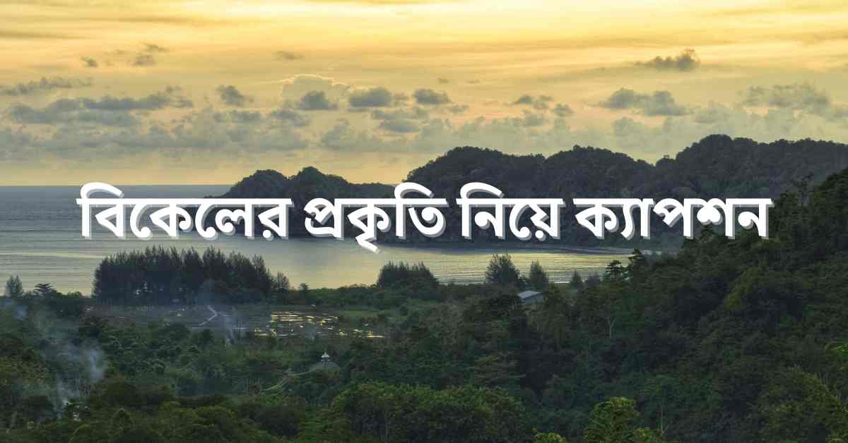 বিকেলের প্রকৃতি নিয়ে ক্যাপশন