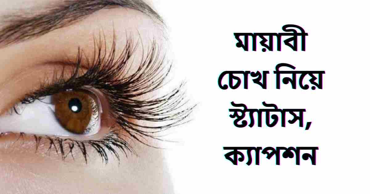 মায়াবী চোখ নিয়ে স্ট্যাটাস,ক্যাপশন