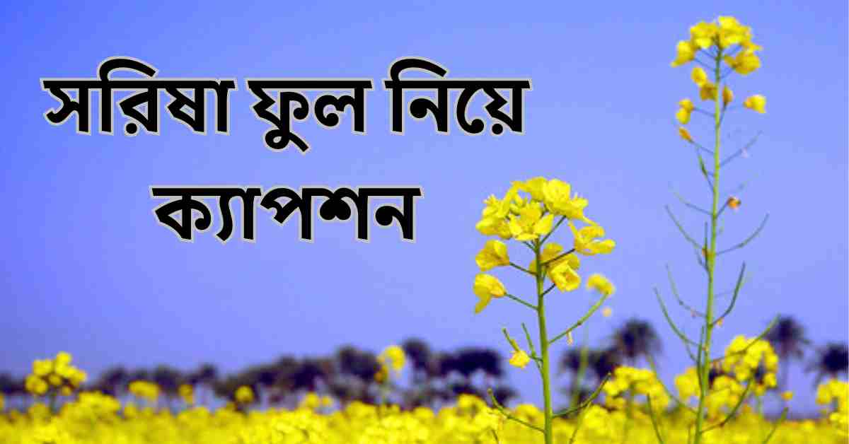 সরিষা ফুল নিয়ে ক্যাপশন