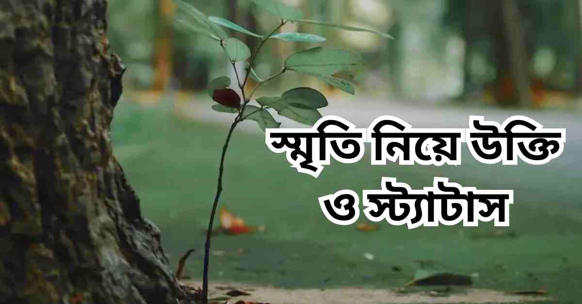 স্মৃতি নিয়ে উক্তি ও স্ট্যাটাস