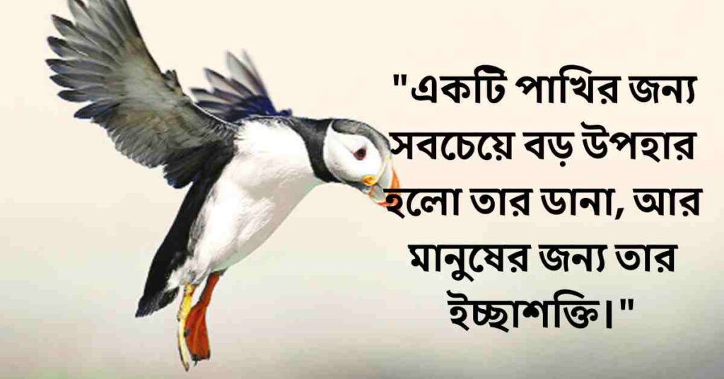 পাখি নিয়ে ক্যাপশন