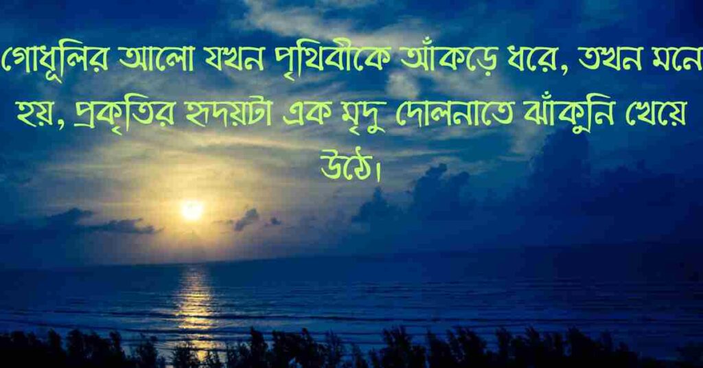 শেষ বিকেলের সূর্য নিয়ে ক্যাপশন