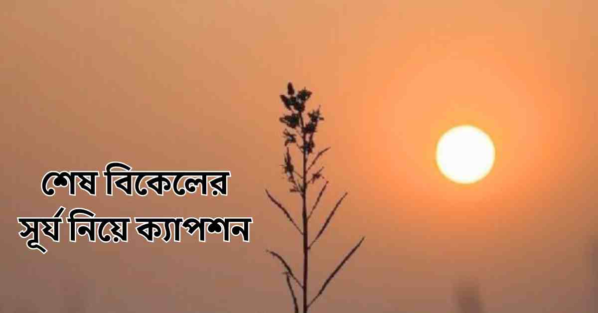 শেষ বিকেলের সূর্য নিয়ে ক্যাপশন