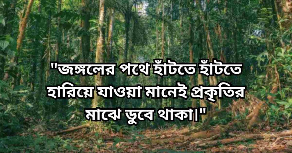 সুন্দর সময় কাটানো নিয়ে স্ট্যাটাস, ক্যাপশন, উক্তি ও কবিতা