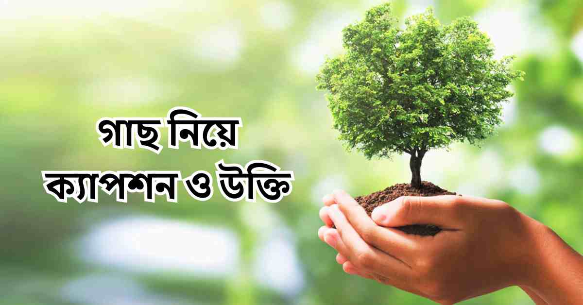 গাছ নিয়ে স্লোগান 296+ | গাছ নিয়ে ক্যাপশন ও উক্তি