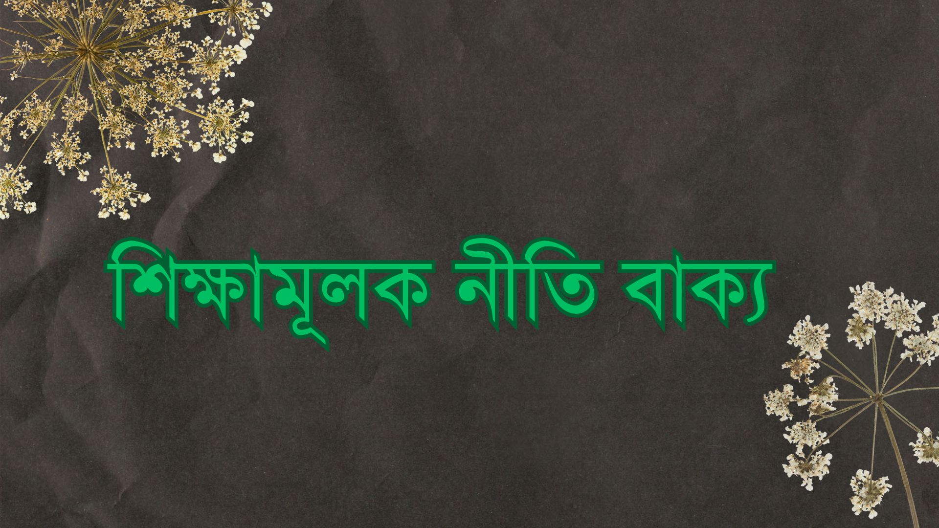 শিক্ষামূলক নীতি বাক্য: 259+ শিক্ষামূলক ফেসবুক স্ট্যাটাস